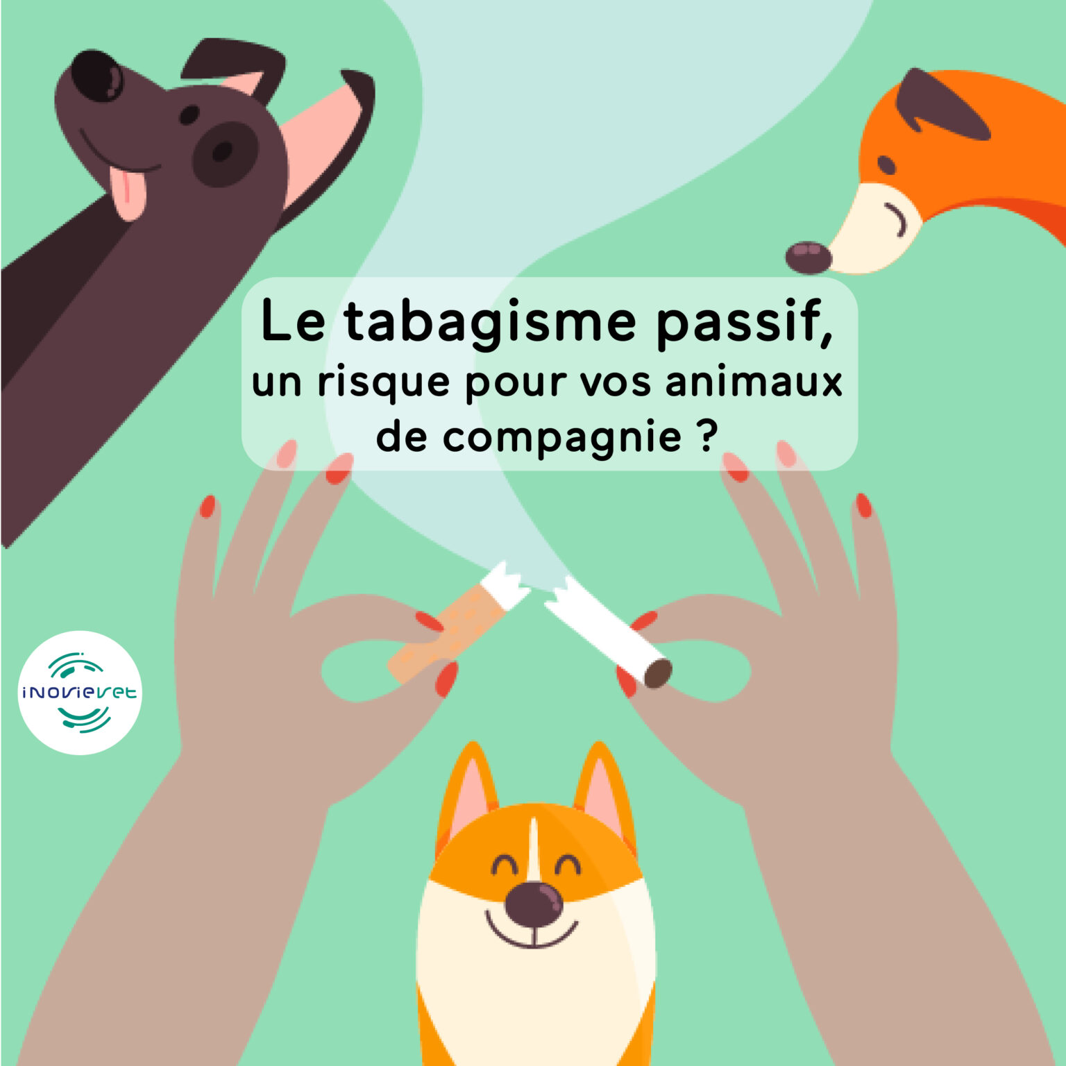 Le tabagisme passif, un risque aussi pour vos animaux de compagnie ...