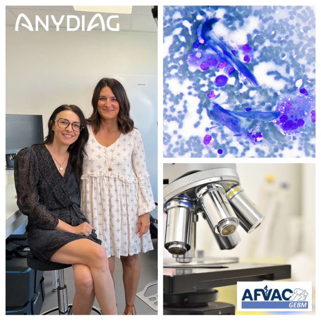 🗓️ Anydiag aux Journées de la Biologie Médicale 2025 | Anydiag